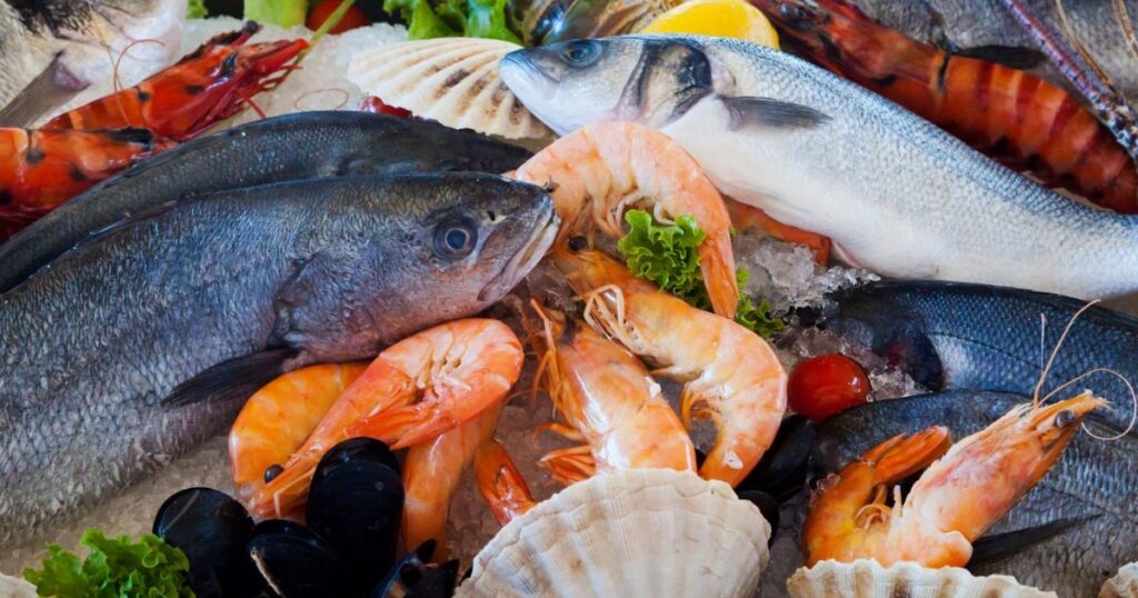 Ilustrasi makanan laut segar (Foto: PublicDomainPictures - pixabay)