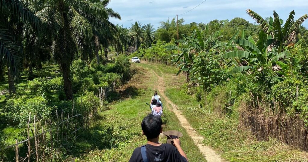 Menyusuri kebun kelapa sawit di Bengkulu (Foto: Dokumentasi Pribadi)
